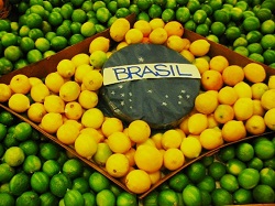Brasil Fome