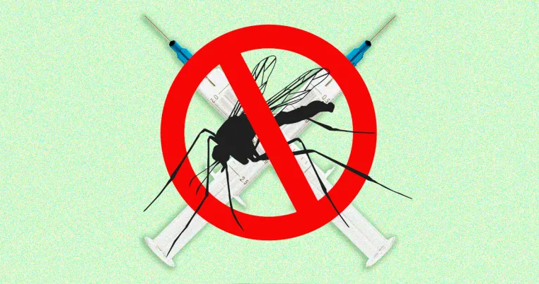 Dengue vacina JornalDaUSP