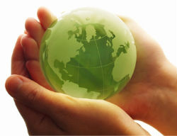 Ecologicodentro