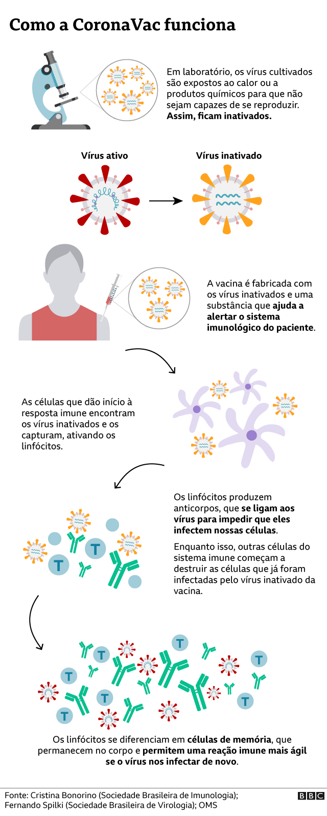 GráficoBBCBr 3 EficáciaVacinasCoronavírus 140121