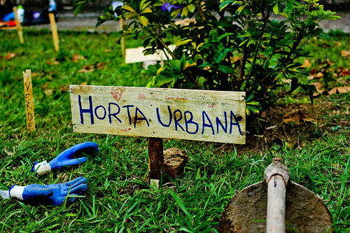 Horta urbana