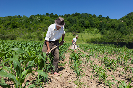 agricultura familiar paraiba CrBr