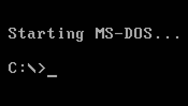 MSDOS 600 larg