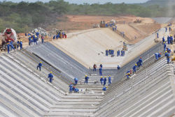 PACobras