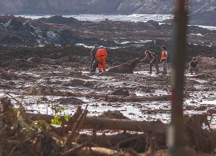 brumadinho ricardo stuckert seesp interna