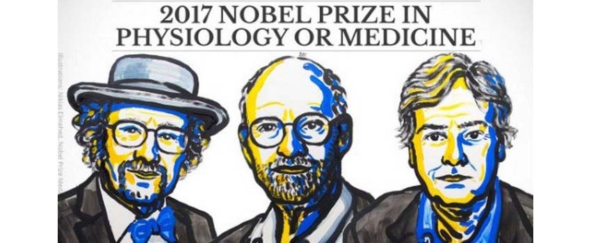 nobel de medicina 2017 home