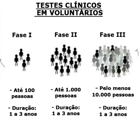 testes clinicos em voluntarios