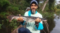 De Recife a Tocantins: o engenheiro que cuida da vida aquática e das pessoas