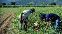 Campanhas contra a carestia