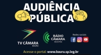 SEESP participa de audiência pública sobre o sistema de energia elétrica de Bauru