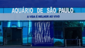 Associado SEESP tem desconto no Aquário de São Paulo