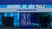 Associado SEESP tem desconto no Aquário de São Paulo