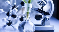 Engenharia de Bioprocessos e Biotecnologia: profissão une fórmulas e células