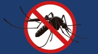Previna-se contra a dengue!