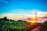 Linhas de transmissão de energia no meio do canavial, em Ribeirão Preto (SP).