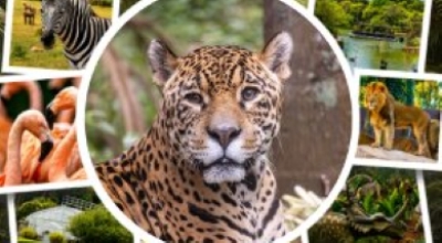 Associado SEESP tem desconto em ingressos para o Zoológico e o Jardim Botânico de São Paulo