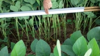 Homenagem à profissão fundamental a uma agricultura mais sustentável