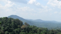 Estudo calcula danos causados pela liberação da mineração em floresta protegida na Amazônia