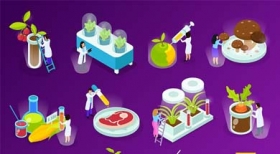 Engenharia de alimentos: a arte da transformação