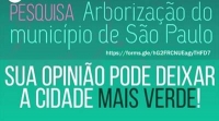 Paulistanos podem opinar sobre as árvores na cidade até 1º de março