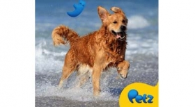 Petz oferece 7% ao associado