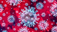 Imagem microscópica do coronavírus. 