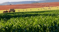 Brasil utiliza apenas 2% do seu potencial em biocombustíveis